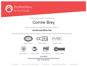 CPR and First Aid for Pets Certificate