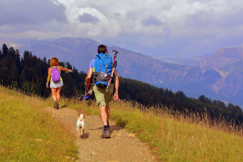 a couple hiking with a small dog