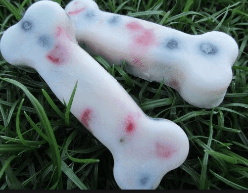 dog bone ice treats