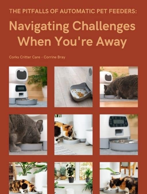 The Pitfalls of Automatic Pet Feeders: Navigating Challenges When You Are Away