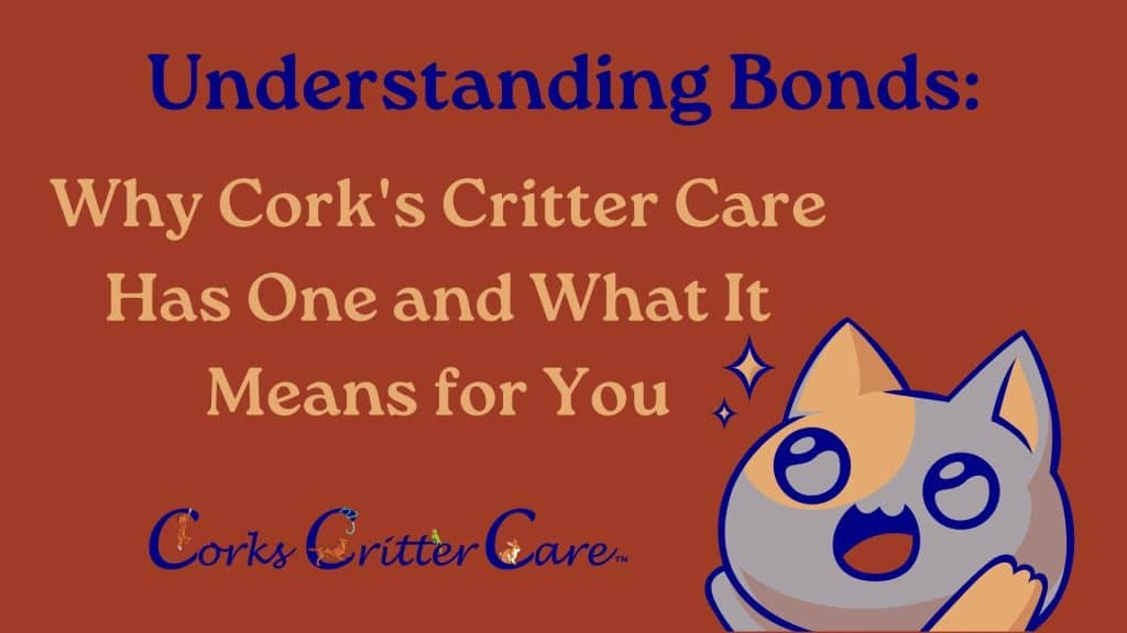 understanding corks bond